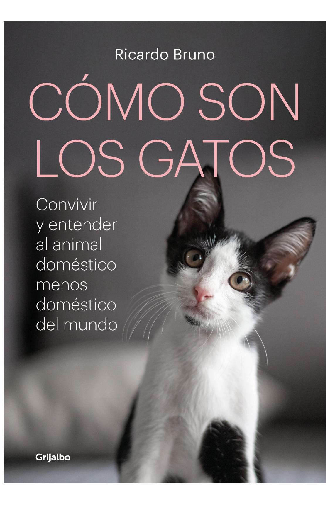 como son los gatos? - ricardo bruno