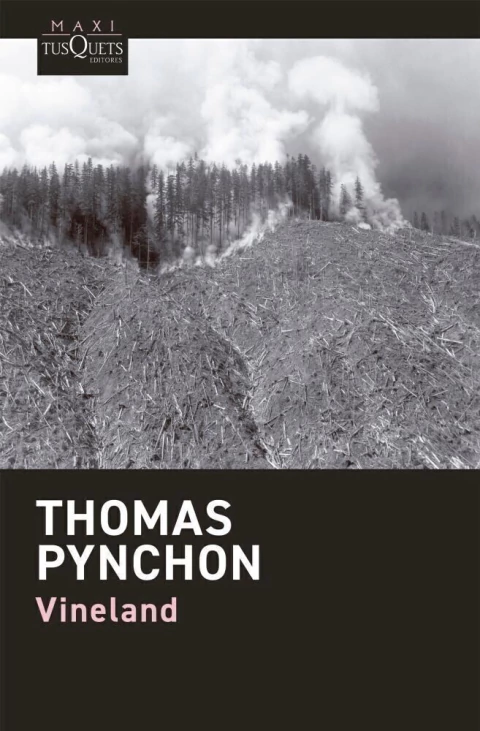 vineland - thomas pynchon
