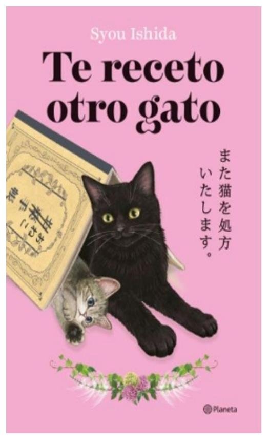 te receto otro gato - syou ishida