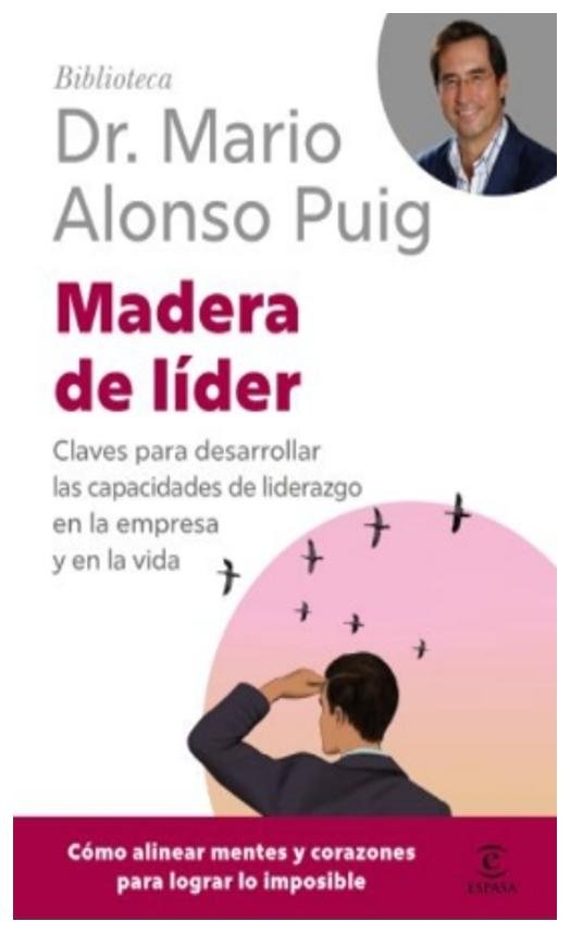 madera de líder - mario alonso Puig